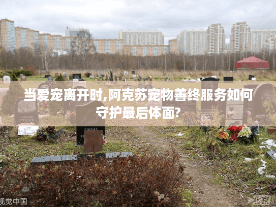 当爱宠离开时,阿克苏宠物善终服务如何守护最后体面?