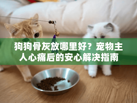 狗狗骨灰放哪里好？宠物主人心痛后的安心解决指南