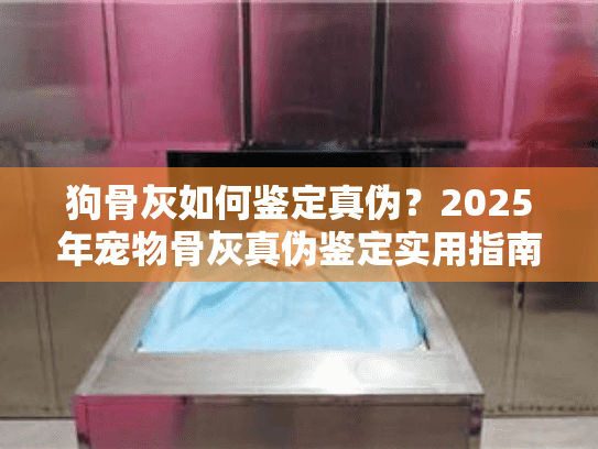 狗骨灰如何鉴定真伪？2025年宠物骨灰真伪鉴定实用指南大全