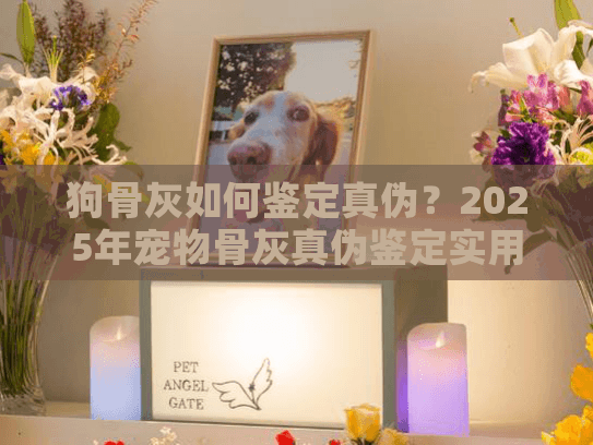 狗骨灰如何鉴定真伪？2025年宠物骨灰真伪鉴定实用指南大全