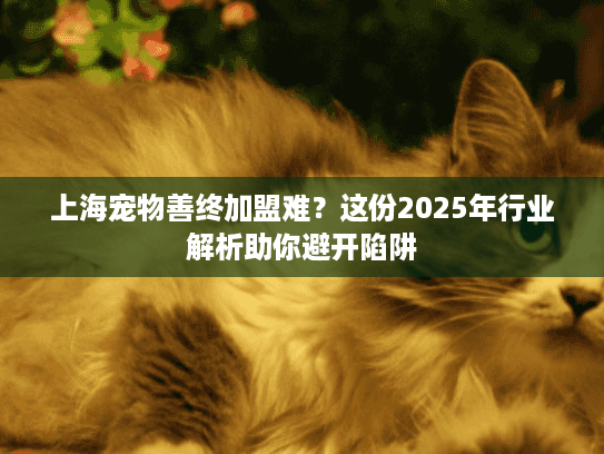 上海宠物善终加盟难？这份2025年行业解析助你避开陷阱