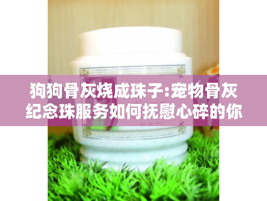 狗狗骨灰烧成珠子:宠物骨灰纪念珠服务如何抚慰心碎的你