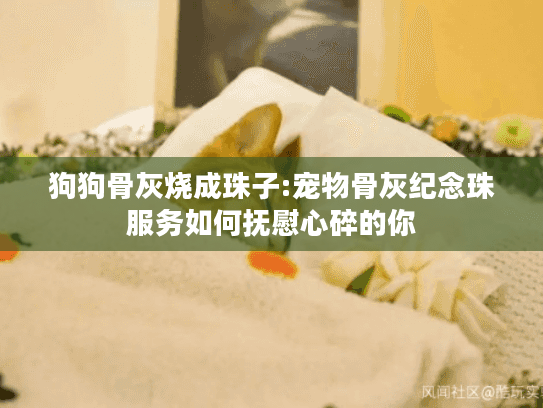 狗狗骨灰烧成珠子:宠物骨灰纪念珠服务如何抚慰心碎的你