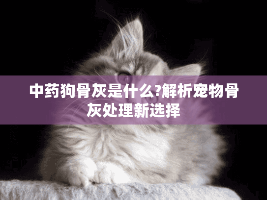 中药狗骨灰是什么?解析宠物骨灰处理新选择