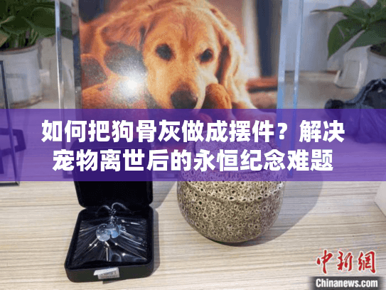如何把狗骨灰做成摆件？解决宠物离世后的永恒纪念难题