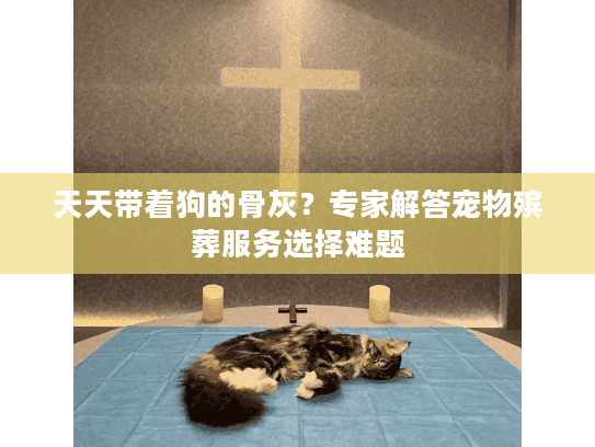 天天带着狗的骨灰？专家解答宠物殡葬服务选择难题
