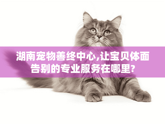 湖南宠物善终中心,让宝贝体面告别的专业服务在哪里?
