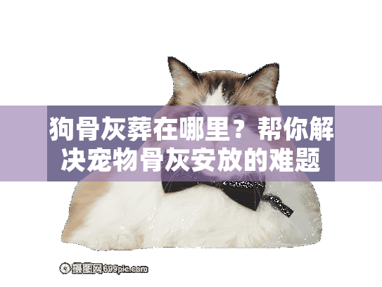 狗骨灰葬在哪里？帮你解决宠物骨灰安放的难题