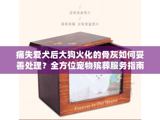 痛失爱犬后大狗火化的骨灰如何妥善处理？全方位宠物殡葬服务指南