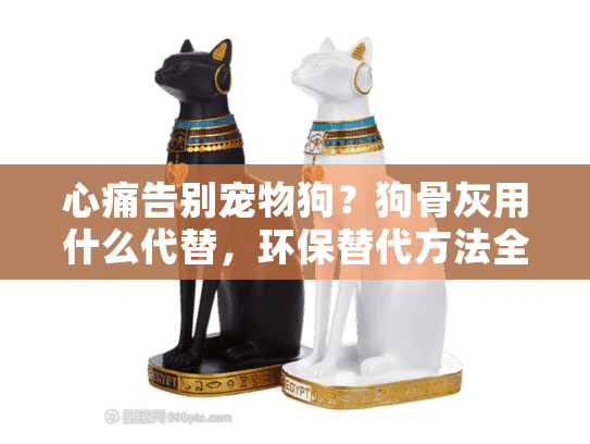 心痛告别宠物狗？狗骨灰用什么代替，环保替代方法全解析