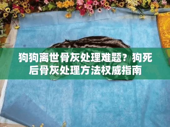 狗狗离世骨灰处理难题？狗死后骨灰处理方法权威指南