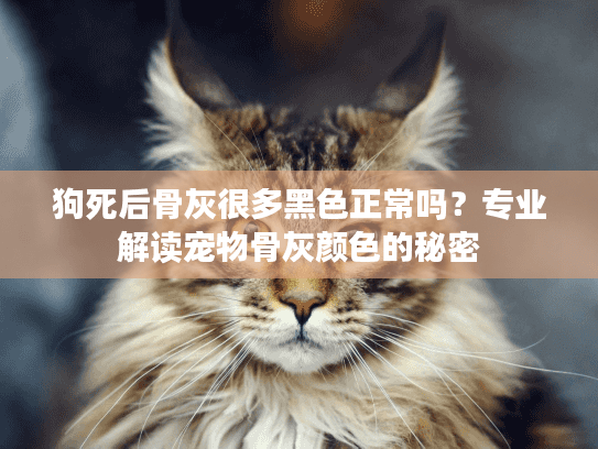 狗死后骨灰很多黑色正常吗？专业解读宠物骨灰颜色的秘密