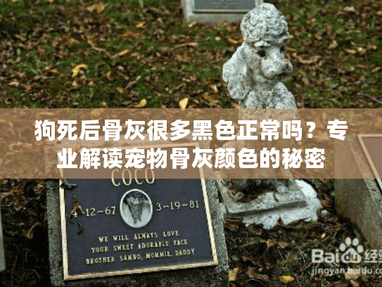 狗死后骨灰很多黑色正常吗？专业解读宠物骨灰颜色的秘密