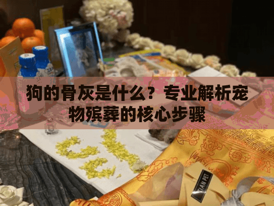 狗的骨灰是什么？专业解析宠物殡葬的核心步骤