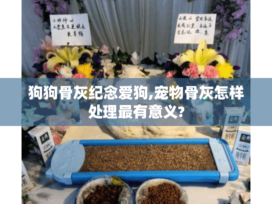 狗狗骨灰纪念爱狗,宠物骨灰怎样处理最有意义?