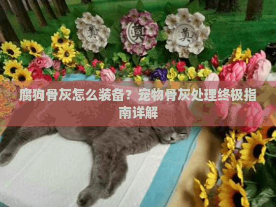 腐狗骨灰怎么装备？宠物骨灰处理终极指南详解