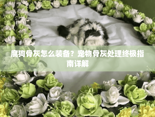 腐狗骨灰怎么装备？宠物骨灰处理终极指南详解