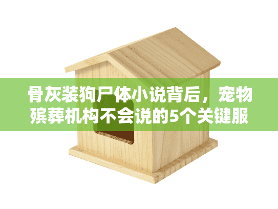 骨灰装狗尸体小说背后，宠物殡葬机构不会说的5个关键服务真相