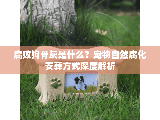 腐败狗骨灰是什么？宠物自然腐化安葬方式深度解析