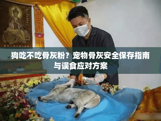 狗吃不吃骨灰粉？宠物骨灰安全保存指南与误食应对方案