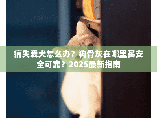痛失爱犬怎么办？狗骨灰在哪里买安全可靠？2025最新指南