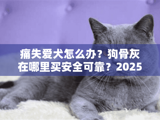 痛失爱犬怎么办？狗骨灰在哪里买安全可靠？2025最新指南