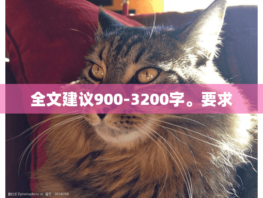 全文建议900-3200字。要求
