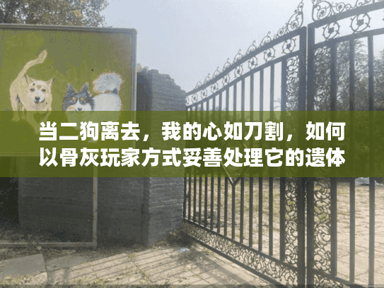 当二狗离去，我的心如刀割，如何以骨灰玩家方式妥善处理它的遗体？