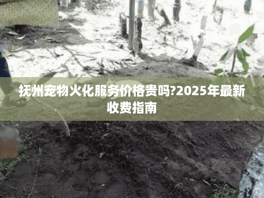 抚州宠物火化服务价格贵吗?2025年最新收费指南