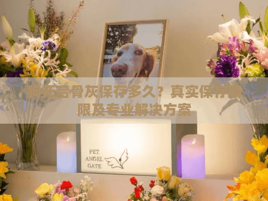 狗死后骨灰保存多久？真实保存期限及专业解决方案
