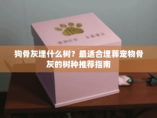 狗骨灰埋什么树？最适合埋葬宠物骨灰的树种推荐指南