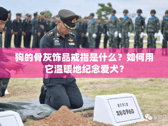 狗的骨灰饰品戒指是什么？如何用它温暖地纪念爱犬？