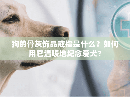 狗的骨灰饰品戒指是什么？如何用它温暖地纪念爱犬？
