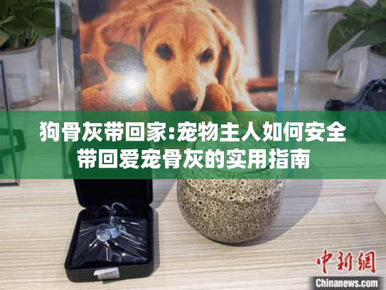 狗骨灰带回家:宠物主人如何安全带回爱宠骨灰的实用指南