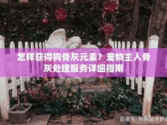怎样获得狗骨灰元素？宠物主人骨灰处理服务详细指南