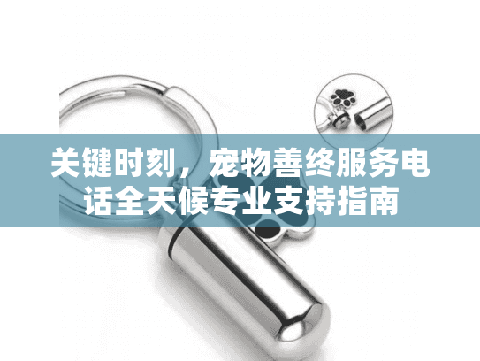 关键时刻，宠物善终服务电话全天候专业支持指南