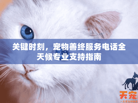 关键时刻，宠物善终服务电话全天候专业支持指南