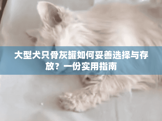 大型犬只骨灰罐如何妥善选择与存放？一份实用指南