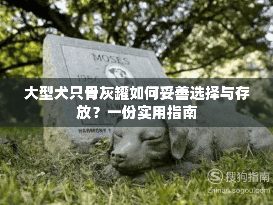 大型犬只骨灰罐如何妥善选择与存放？一份实用指南