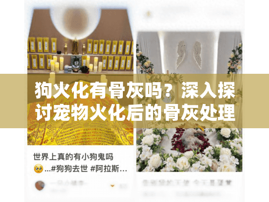 狗火化有骨灰吗？深入探讨宠物火化后的骨灰处理服务