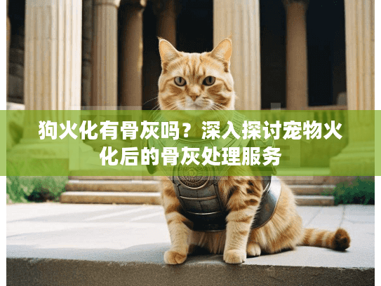 狗火化有骨灰吗？深入探讨宠物火化后的骨灰处理服务