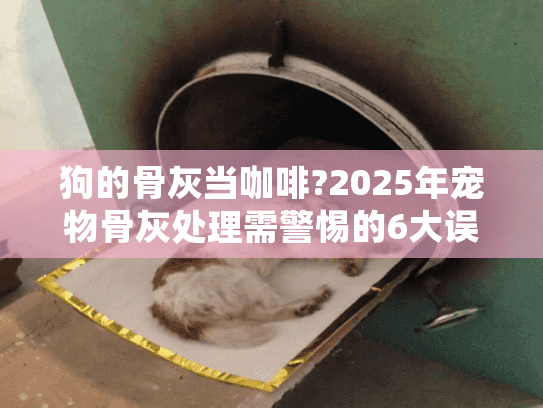 狗的骨灰当咖啡?2025年宠物骨灰处理需警惕的6大误区