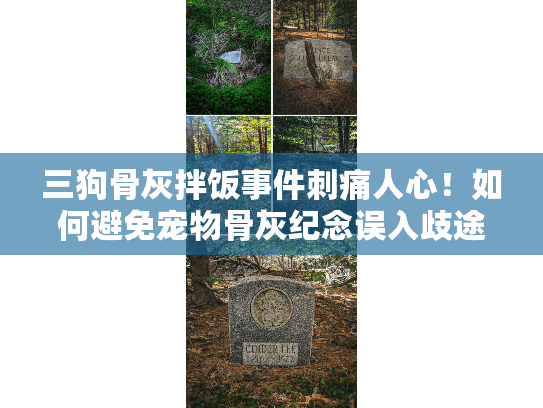 三狗骨灰拌饭事件刺痛人心！如何避免宠物骨灰纪念误入歧途？