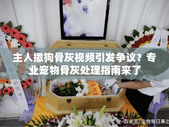 主人撒狗骨灰视频引发争议？专业宠物骨灰处理指南来了