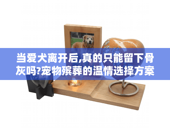 当爱犬离开后,真的只能留下骨灰吗?宠物殡葬的温情选择方案