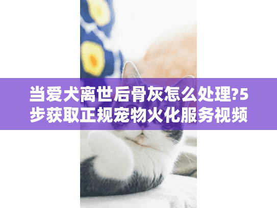 当爱犬离世后骨灰怎么处理?5步获取正规宠物火化服务视频指南