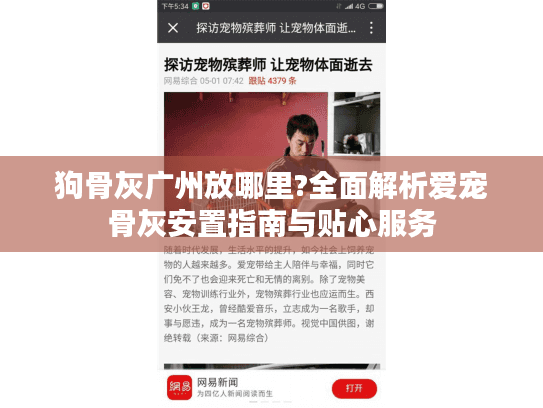 狗骨灰广州放哪里?全面解析爱宠骨灰安置指南与贴心服务
