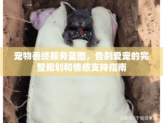 宠物善终服务蓝图，告别爱宠的完整规划和情感支持指南