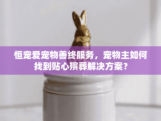恒宠爱宠物善终服务，宠物主如何找到贴心殡葬解决方案？