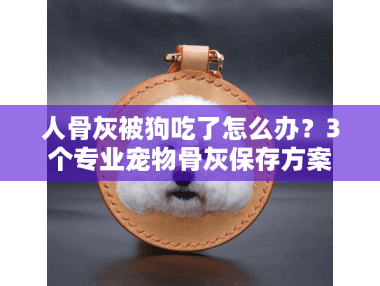 人骨灰被狗吃了怎么办？3个专业宠物骨灰保存方案守护最后的尊严